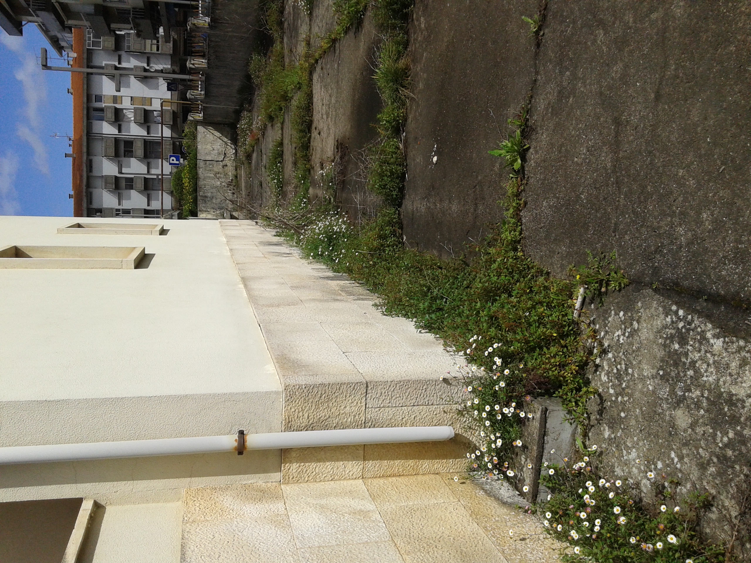 Projeto de Requalificação de edifícios para Residências Universitárias de Águeda